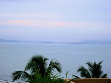 View from the hotel, Coconut trees and it was raining!